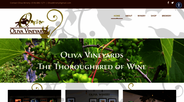 olivavineyards.com