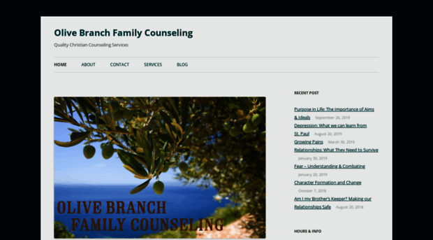 olivebranchfamilycounseling.com