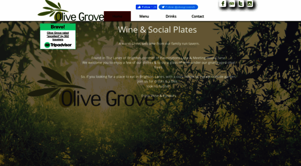 olivegrove-brighton.co.uk