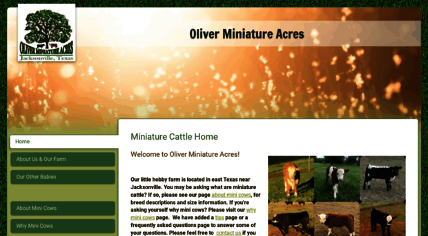 oliverminiatureacres.com