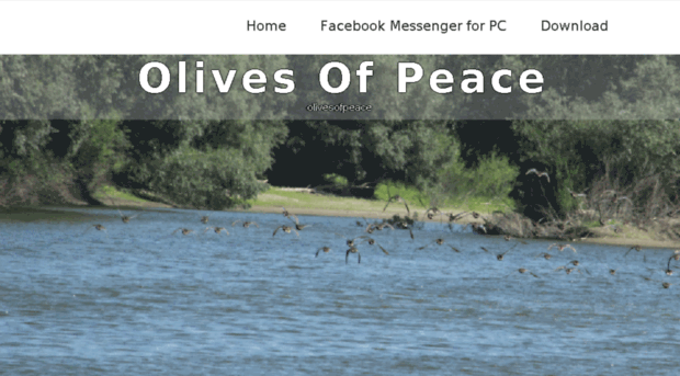 olivesofpeace.org