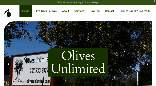 olivesunlimited.com