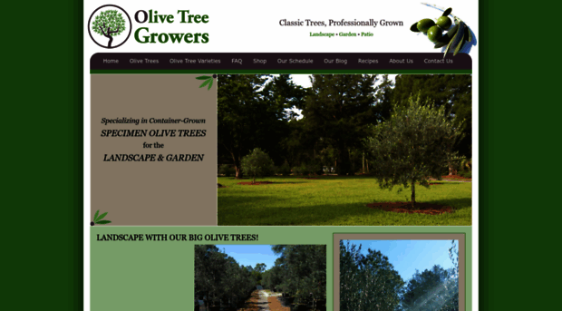 olivetreegrowers.com