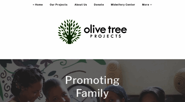 olivetreeprojects.com
