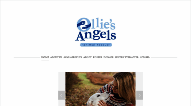 olliesangelsanimalrescue.org