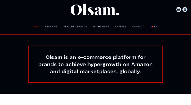 olsamgroup.com