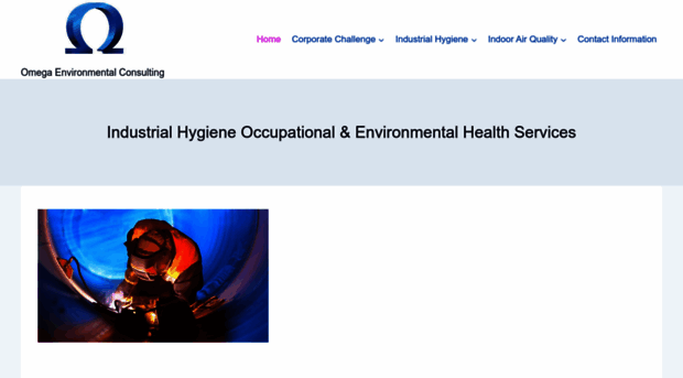 omegaenvironmentalservices.com