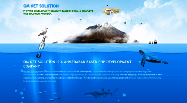 omnetsolution.net