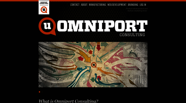 omniportconsulting.com