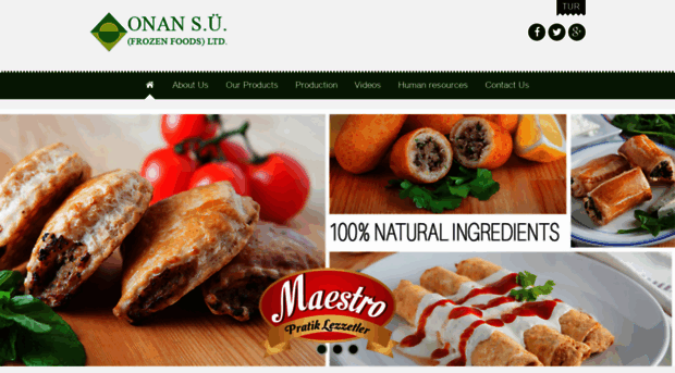 onanfrozenfoods.com