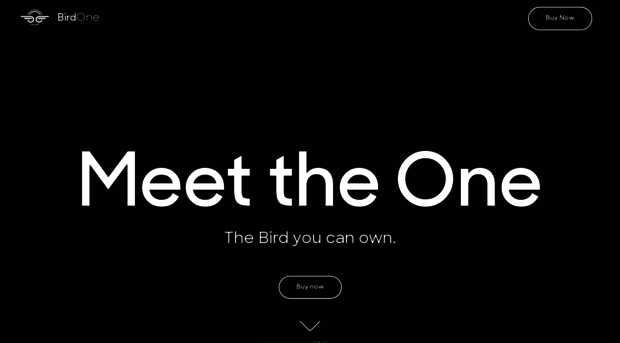 one.bird.co
