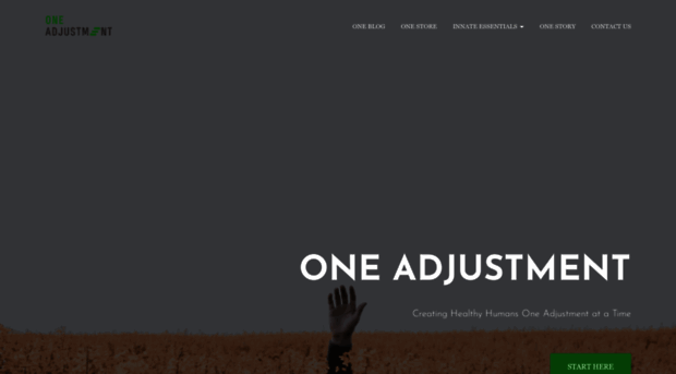 oneadjustment.com