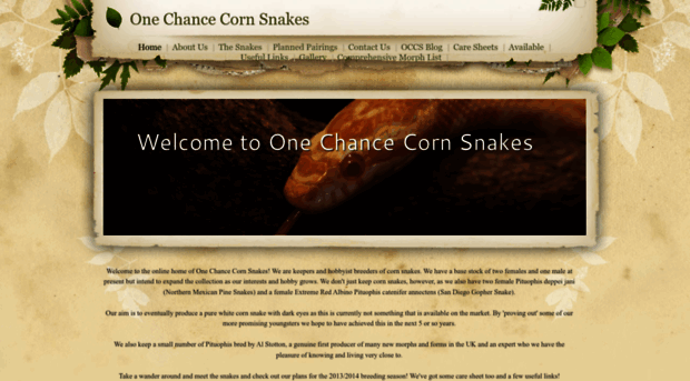 onechancecornsnakes.weebly.com