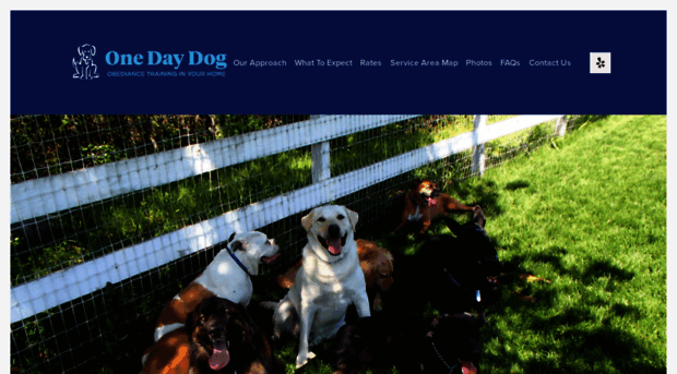 onedaydog.com