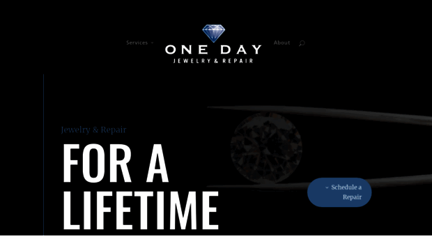 onedayjewelry.com