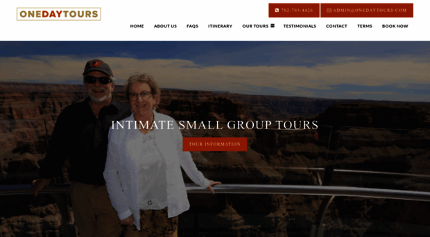 onedaytours.com