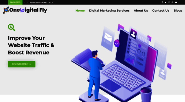 onedigitalfly.com