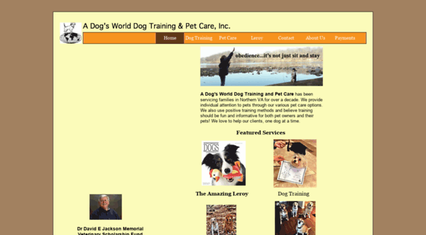 onedogatatime.com