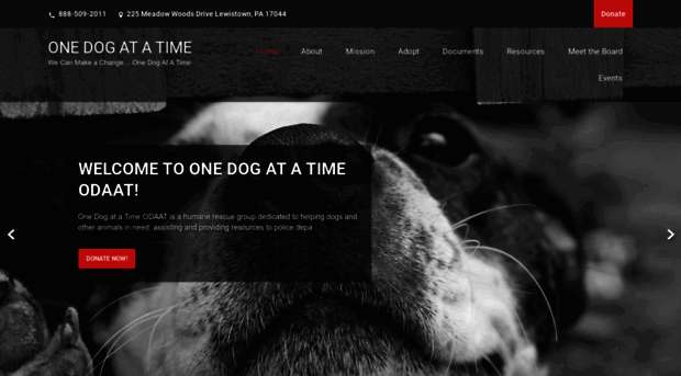 onedogatatime.us