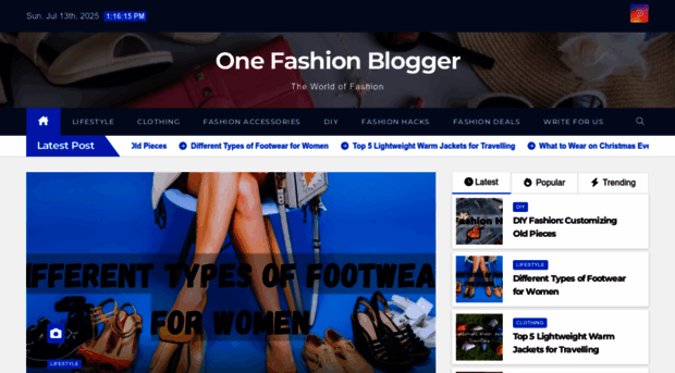 onefashionblogger.com