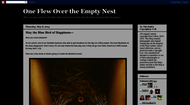 oneflewovertheemptynest.blogspot.com