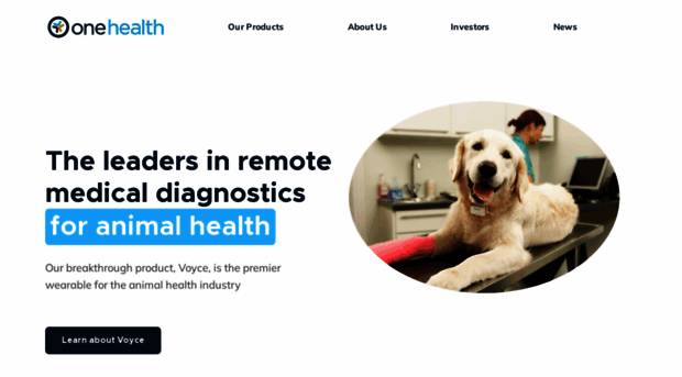 onehealthgroup.com