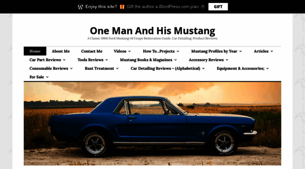 onemanandhismustang.com