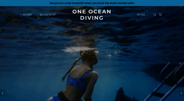 oneoceandiving.com