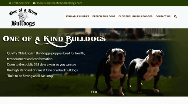 oneofakindbulldogs.com