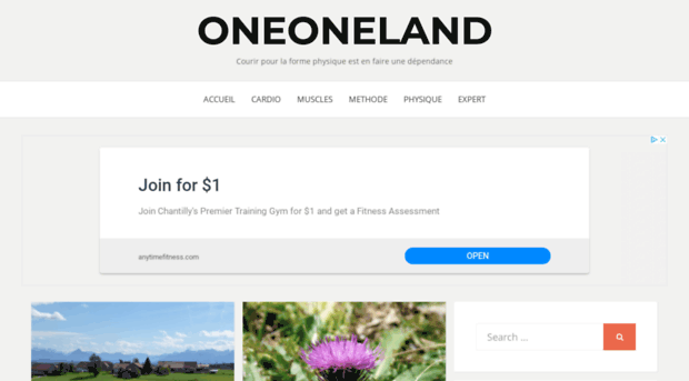 oneoneland.com