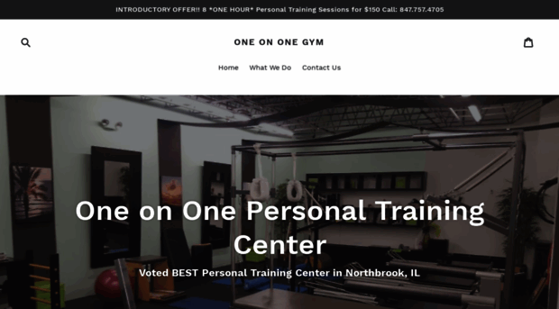 oneononegym.com