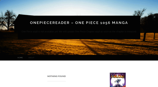 onepiecereader.wordpress.com