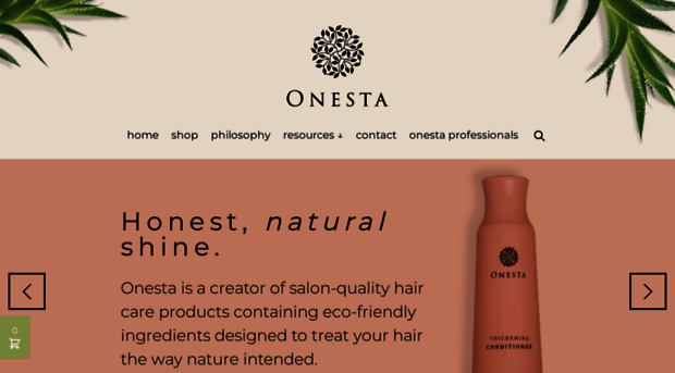 onestahaircare.com