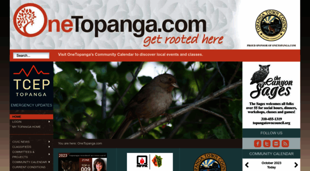 onetopanga.com