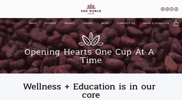 oneworldcacao.com