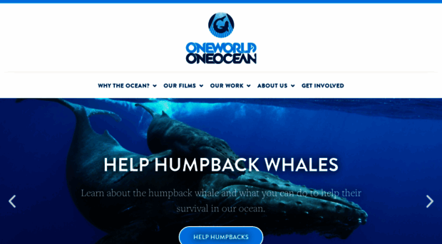 oneworldoneocean.com