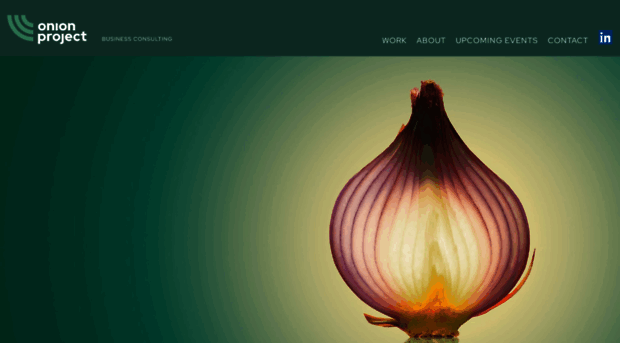 onion-project.com