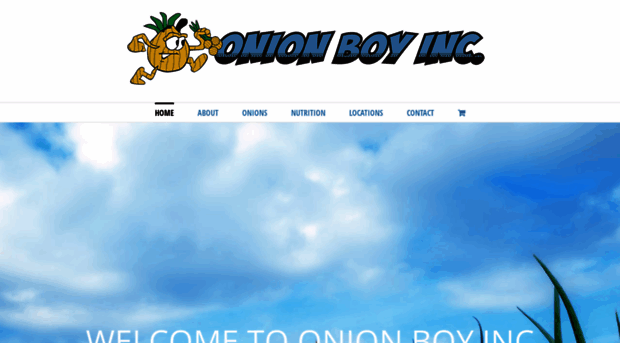 onionboyinc.com