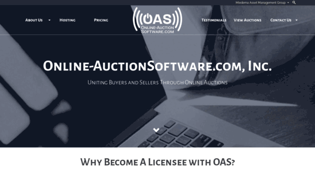 online-auctionsoftware.com