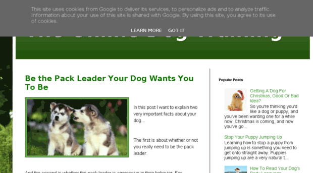 online-dog-training-videos.blogspot.sk
