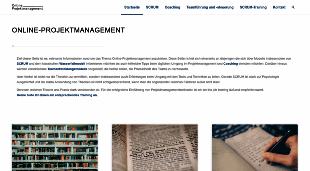 online-projektmanagement.info