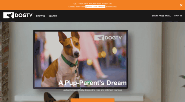 online.dogtv.com