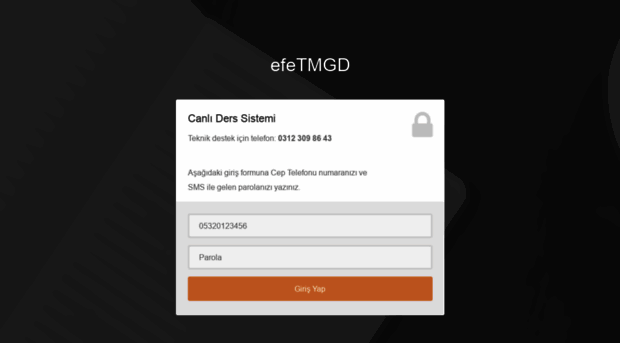 online.efetmgd.com