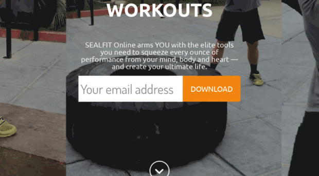 online.sealfit.com