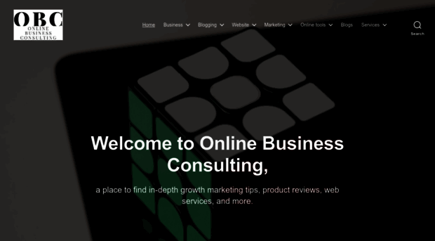 onlinebusinessconsultants.net