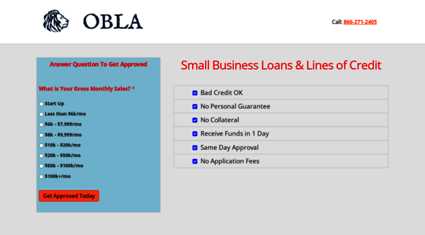 onlinebusinessloanapplication.com