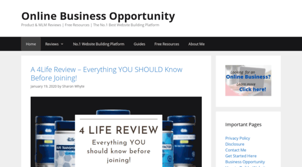 onlinebusinessopportunity.net