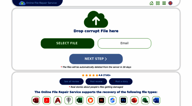 onlinefilerepair.com
