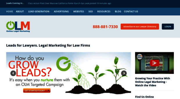 onlinelegalmarketing.com