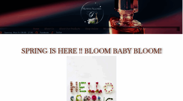 onlineperfumestore.co.za